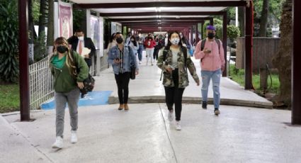 Becas IPN: ¿Estudias en voca, universidad o posgrado? Puedes tener estos 4 apoyos