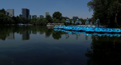 Tragedia en Chapultepec: hallan a persona muerta en el lago