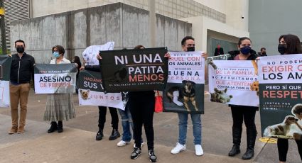 Exigen cárcel para presunto asesino de perros rescatistas