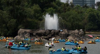 Tragedia en Chapultepec: ¿Qué hay en las aguas del lago y qué hacer si te caes?