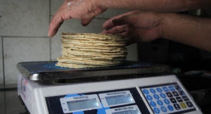 Tortillas por las nubes: Kilo se acerca peligrosamente a los 30 pesos