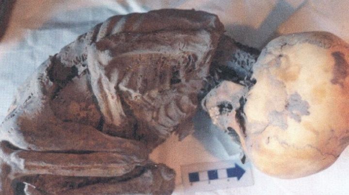 Pepita: La pequeña y más antigua momia encontrada en Cadereyta de Montes, Querétaro