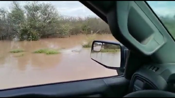 Diluvio en Sonora: El fin de semana llovió lo de 6 meses; presas se llenaron y se redujo la sequía