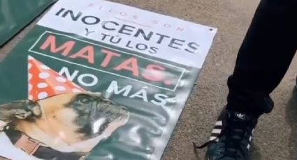 Se han judicializado 5 casos de maltrato animal en Querétaro