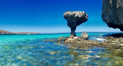 Incendio en playa Balandra: Profepa alista denuncia penal por afectación ambiental