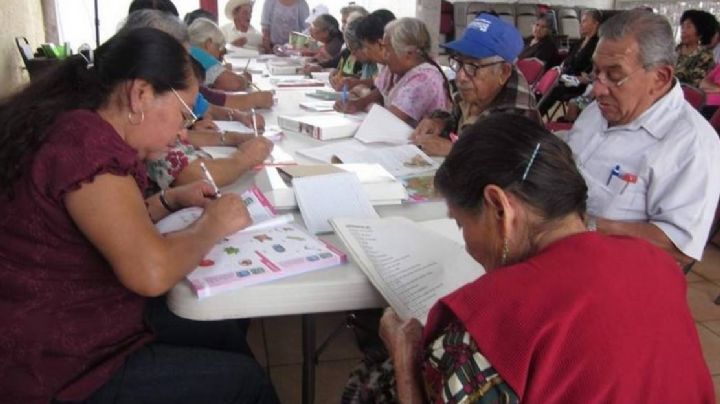 IVEA retoma actividades presenciales; Poza Rica con el mayor rezago educativo