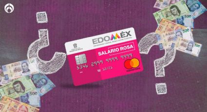 Salario Rosa: ¿No te ha caído tu pago? Esta puede ser una razón