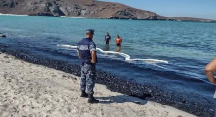 Playa Balandra: Se desconocen los daños a las especias marinas, limpieza avanza en un 70%