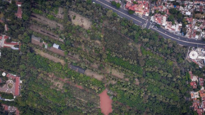 Hallan cuerpo colgado en parque cerca de Viveros de Coyoacán