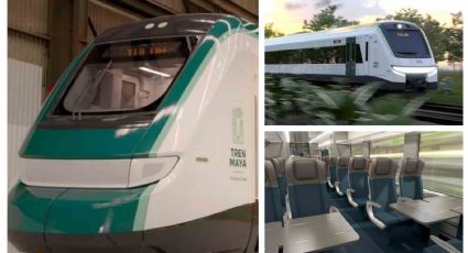 Tren Maya: así van quedando los vagones del proyecto