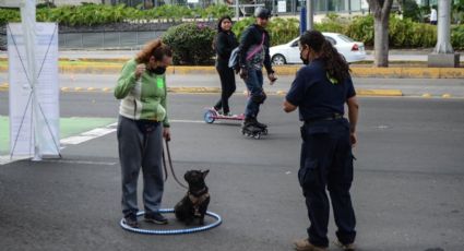 Velan por una vida digna y libre de violencia para mascotas