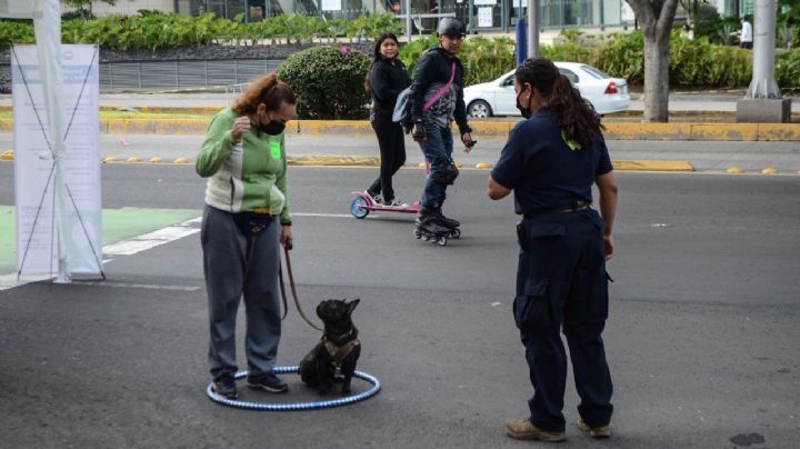 Velan por una vida digna y libre de violencia para mascotas