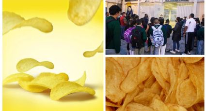 Regreso a clases: evita estas papitas 'reprobadas' por Profeco