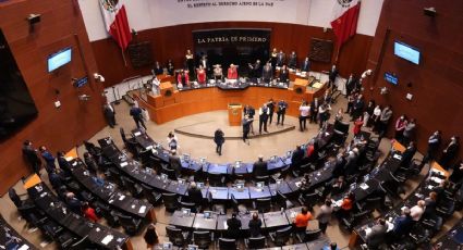 Plenaria de Morena se calienta: desdenes de funcionarios y jaloneos por presidencia del Senado