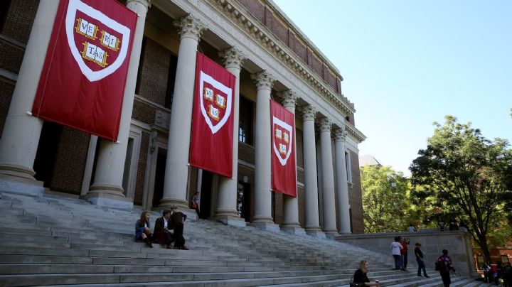 ¿Cuánto gana un profesional egresado de la Universidad de Harvard?