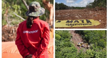 Greenpeace vs. Tren Maya: juez admite ampliación de amparo contra Tramo 5