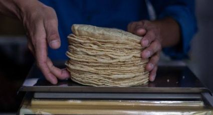 Inflación disparará el precio del kilo de tortilla