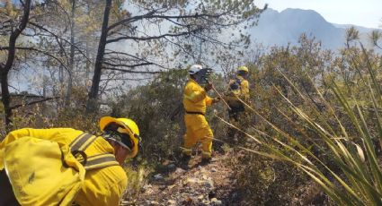 Combaten incendio forestal en los Rayones NL