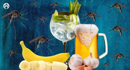 ¿Harto de los mosquitos? La cerveza te hace más atractivo para las picaduras