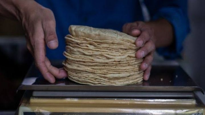 Inflación disparará el precio del kilo de tortilla