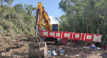 Tren Maya: Sélvame del Tren ahora acude a Alstom para frenar el 'proyecto ecocida'