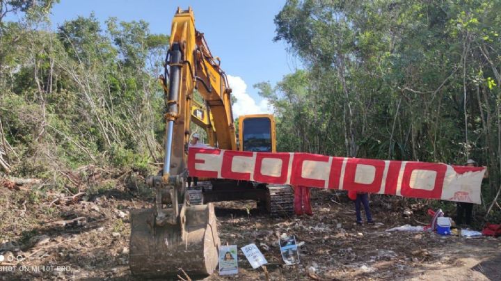 Tren Maya: Sélvame del Tren ahora acude a Alstom para frenar el 'proyecto ecocida'