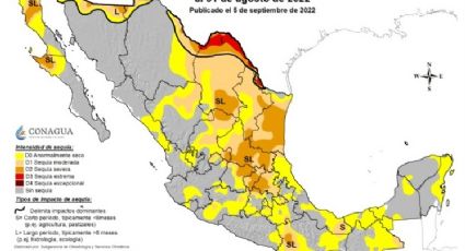 Sequía en México: Alrededor de 30 mil hectáreas del campo no se sembraron