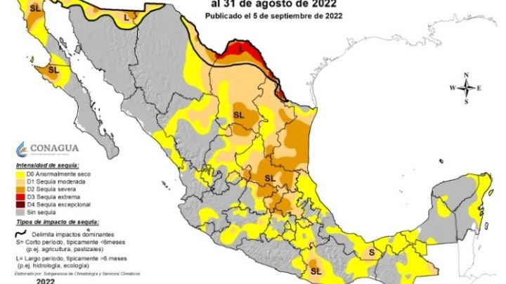 Sequía en México: Alrededor de 30 mil hectáreas del campo no se sembraron