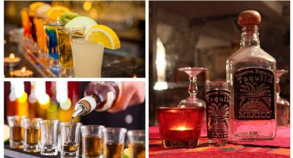 Catador de tequila: ¿cuánto ganan y dónde pueden estudiar en México?