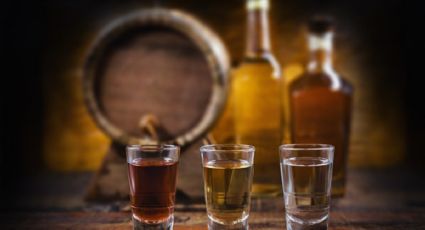 Tequila: ¿cuánto es el límite de vasos que se debe tomar?