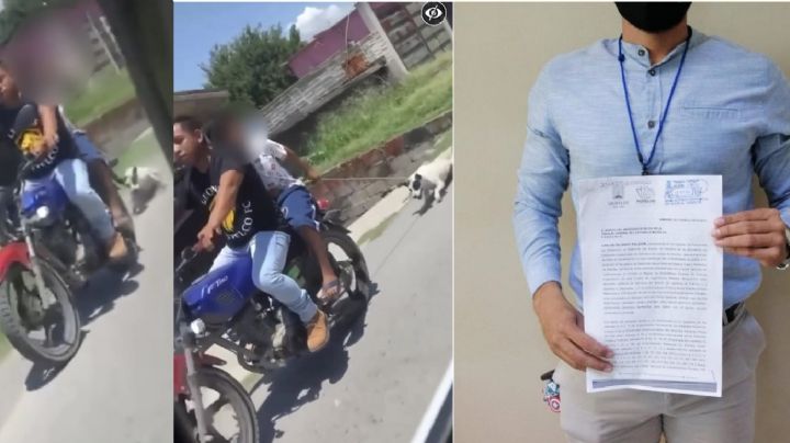 Caso de la perrita arrastrada por motocicleta en Coatetelco, ya hay denuncia penal