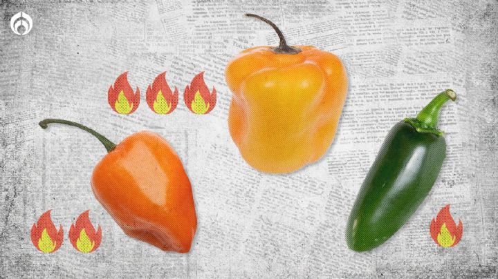 ¿Orgullo nacional? Estos son los 10 chiles más picantes del mundo (y ninguno es mexicano)