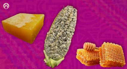 Gastronomía mexicana: 5 ingredientes en peligro de extinción que afectarían los platillos patrios