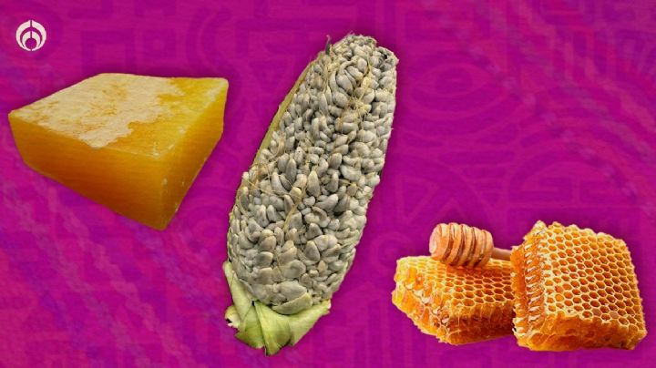 Gastronomía mexicana: 5 ingredientes en peligro de extinción que afectarían los platillos patrios