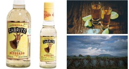 Tequila Cabrito: ¿quién lo fabrica y qué tipo de bebida es?