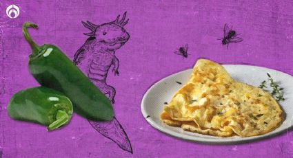 ¿Ajolote en chile y omelette de mosca? 5 platillos mexicanos que desaparecieron