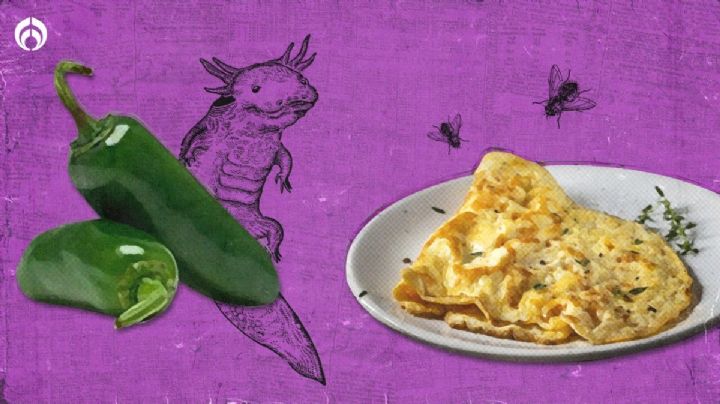 ¿Ajolote en chile y omelette de mosca? 5 platillos mexicanos que desaparecieron