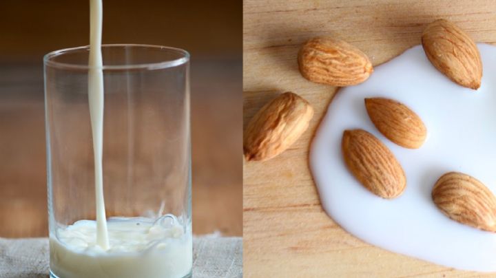 Leche de almendras vs leche de vaca: ¿Cuál es mejor para la salud?