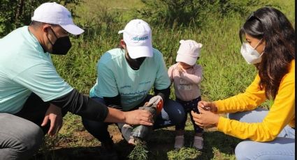 Medio ambiente: Reforestan campus Tequisquiapan en beneficio de mantos acuíferos