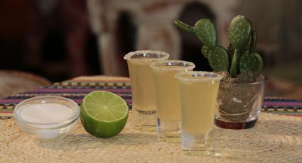 ¿Cómo saber si un tequila es premium y auténtico? 7 características imperdibles