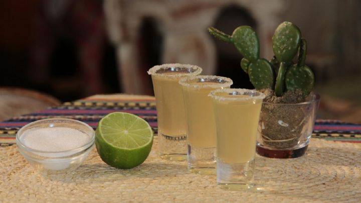 ¿Cómo saber si un tequila es premium y auténtico? 7 características imperdibles