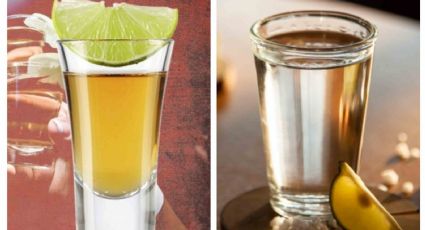 Tequila: ¿por qué es mejor tomarlo en vaso que en caballito? Te decimos