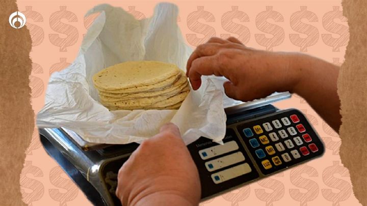 Tortillas: Esto 'disparó' el kilo a más de 20 pesos... y su precio amenaza con seguir al alza