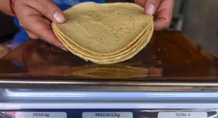 Maseca dará ‘ayudadita’ para frenar alza del precio de tortillas: AMLO