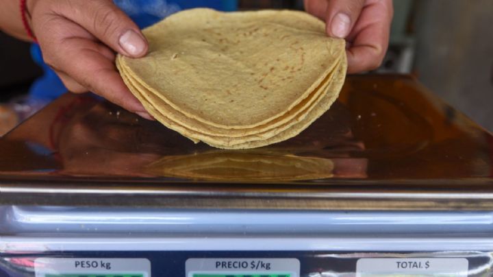 Maseca dará ‘ayudadita’ para frenar alza del precio de tortillas: AMLO