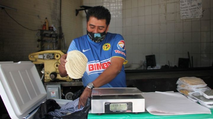 Está ca... ra la tortilla: Y no bajará pronto ni con 'ayudadita' de Maseca, advierten