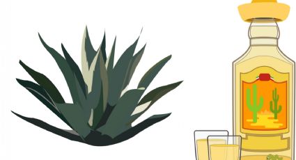 Tequila: ¿cuáles marcas no son 100% agave?