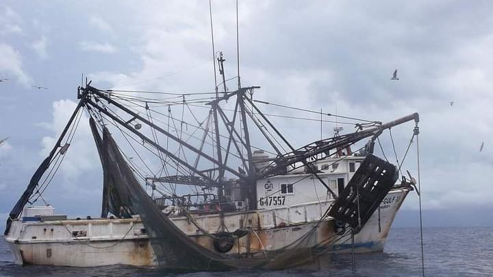 Se reporta disminución en la actividad pesquera en Tampico