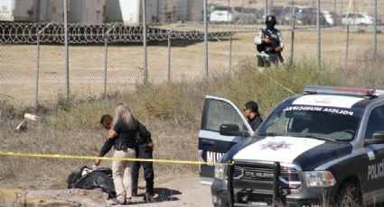 Violencia en Tijuana: 141 homicidios en lo que va del mes y 7 muertos en las últimas horas