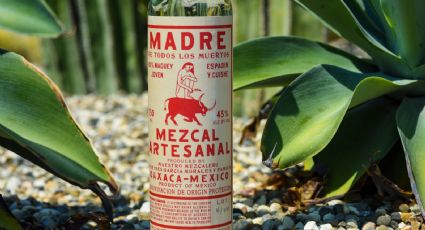 Las mejores 5 marcas de mezcal que debes probar